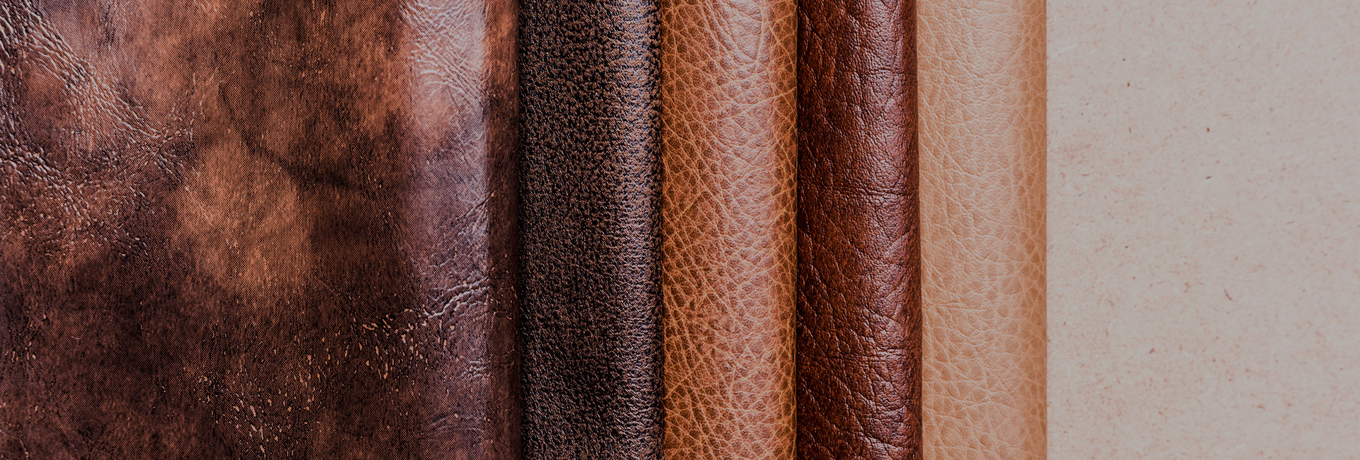 �������ǲ�(�й���)�ٷ���վ